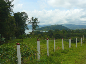 The lot in front of the house has been added to the property to protect the view.