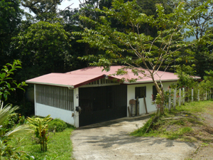 The house sits before a thick forest next a lane which continues to the water's edge.