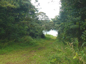 From a corner with a parking area, the lane continues 100 yards to the cove.