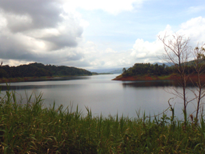 Explore and fish in protected waterways leading to the main lake.