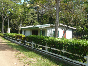 The house sits amid huge trees on a dead-end lane.