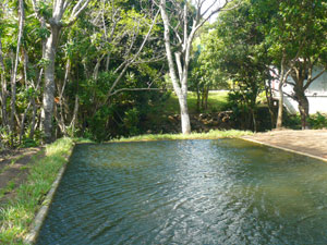 Beyond the pool and stream is the small house beside the road.