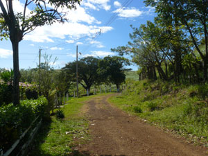 Past the house is one neighbor and then the road ends in the open country.