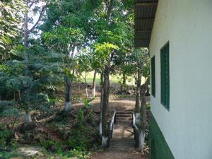 A walkway leads to a bridge over the stream that runs thrugh the half-acre.