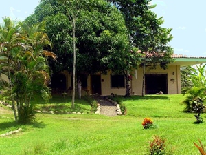 The house, of about 4,111 square feet, appears dwarfed by the large tree in front. 