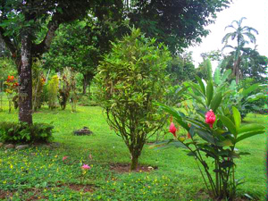 Much of the 5 acres is landscaped with ornamentals.