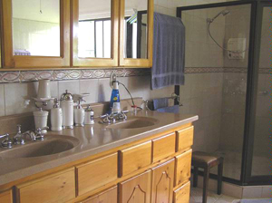 The master bathoom has double sinks, an oversize shower, and a spa tub.