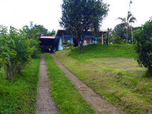 The house has concrete driveway ribbons uphill to a partly enclosed carport.