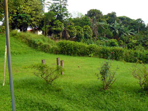 Beside the house is an expansive building area.