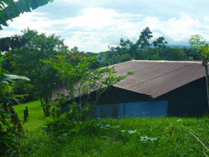 The lot continues above the house and provides space for fruit trees.