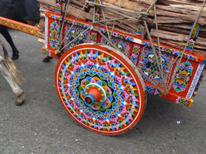 Many of the oxcarts have elaborate decoration.