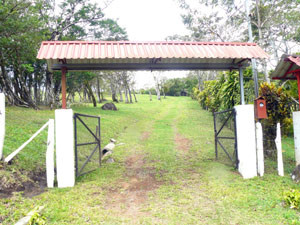 The entrance lane leads to the hilltop home. 