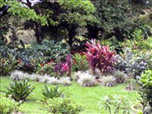 One of several garden areas