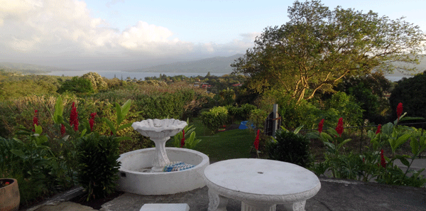 A lake view from the patio set.