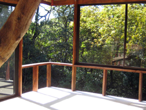 The new living and kitchen area has beautiful views through floor-to-ceiling glass.