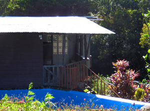 A swimming pool can be entered from the deck.