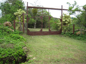 The inviting entrance to the property has a tall automated gate.