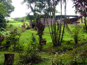 A streamside bower with rustic seating provides the view of the house.