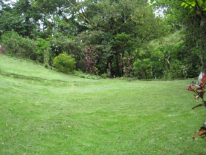 Rolling lawns beautify most of the acreage. 