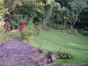 From the house, a path leads down the landscaped slope to the stream.