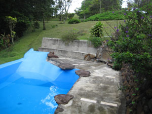 There is a small free-form swimming pool. 