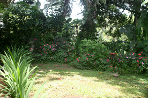 Nice landscaping around the homeadds color in front of the forest.