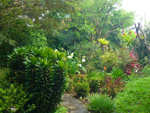 The grounds are a floral wonderland with a great variety of indigenous yet exotic plants and trees. 