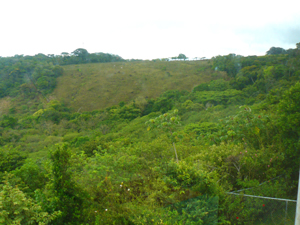 Forested slopes below the house give way to a series of lovely foothills descending to the vast Tempisque River Basin. 