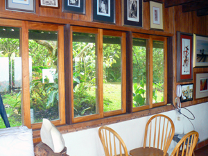 A wide bank of windows opens the back gardens to the living room.