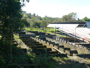 long ago, the finca was a notable pig farm, as this large remaining piggery attests.