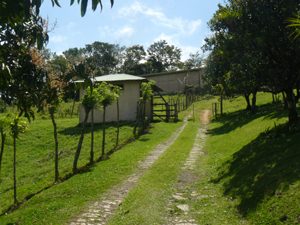 an interior road leads uphill to a small storage building and then to the second, which is large enough to be made into a second house.