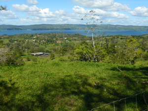 The size of the finca is evident in this view from the top in which the piggery is seen far below.