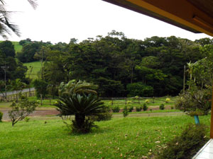 The front patio looks out to broad lawns that cover much of the half-acre property.