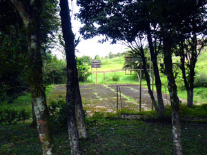 Behind the house is the combination soccer/basketball court for use by srrounding properties. 