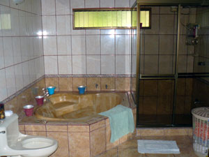 The master bath has a jetted tub as well as cubical glass-sided shower and next to it is the walk-in dressing room.