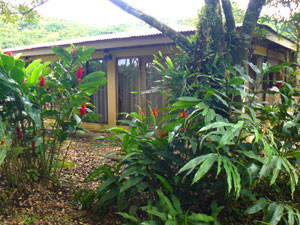 The large-windowed home is well screened by hedges and fruit trees.