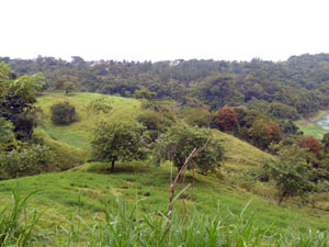 Part of the principal town of Nuevo Arenal sits on the far ridge. 