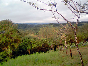 View from the lot above the house. 