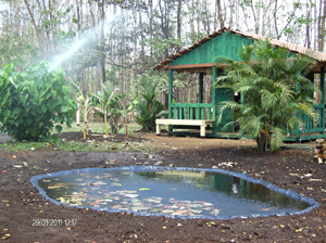 This cabin is originally the wellhouse.