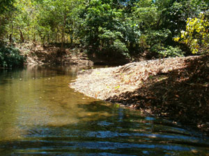 The Rio Sardinal flows around three sides of the property.