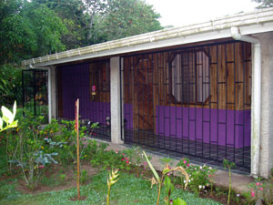 The side of the house looks out on a garden and large trees.