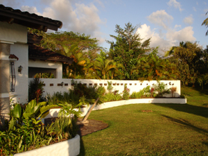 An attractive low wall curves past the bedroom wing of the home. 