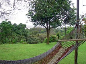 The wide lawn leads to a forested view with a little lake view beyond the trees.