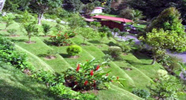 From the hilltop lots ready for lakeview construction, one can look back down the enchantingly terraced hillside to the formidable entrance gate.