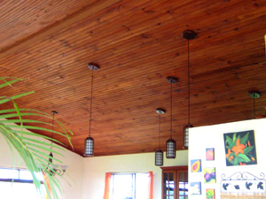 The high ceilings are finished in warm hardwood.