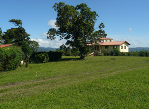 The main house and the caretaker's house are about 100 yards apart.