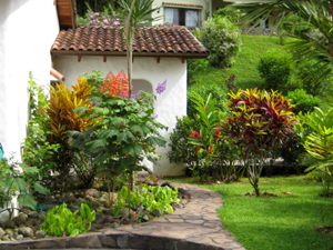 Mature landscaping with exotic ornamental plants complements the home's attractive design.