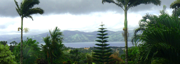 The town of Nuevo Arenal sits mostly on a hilltop between the horse horse training property and the lake.