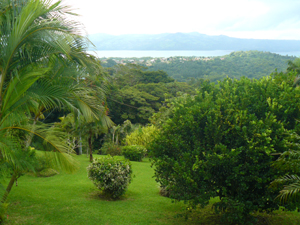 A large portion of the property below the house and between the road and a stream is beautifully landscaped.