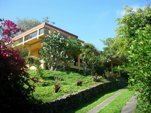 A long private drive leads to the beautiful hillside view home.